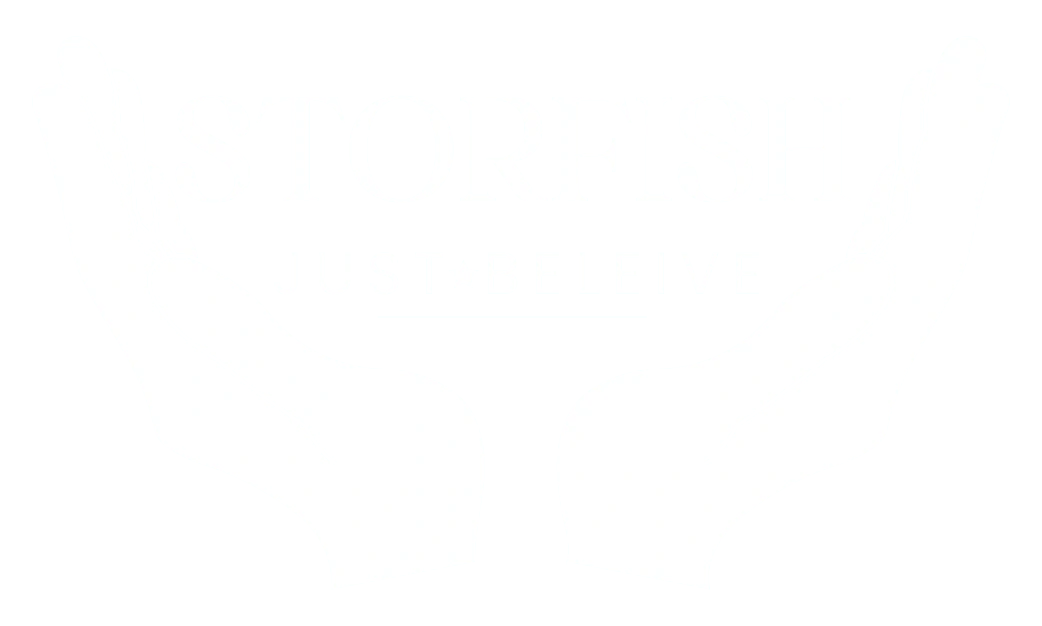 StorFish Logo